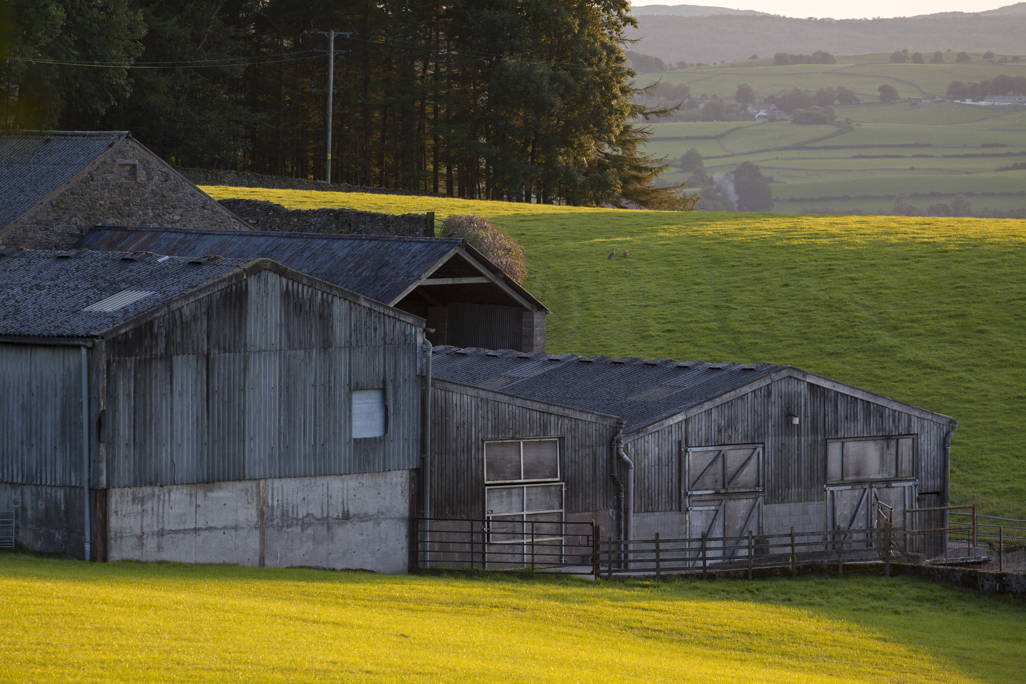 Barn